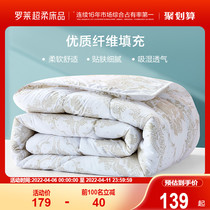 The Rolet Home Textile Bed bedding quilted quilt core Spring autumn quilted by dormitory Single double Thickened Warm Winter Quilt by Seven Conn