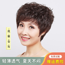 Wig female short curly hair wig set real hair silk natural Invisible Lady middle-aged mother curly hair full head cover