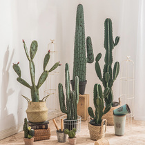 Large simulation cactus ornaments Nordic plant home indoor fake green plant potted fairy column ins wind decoration