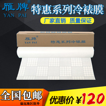 Wild 25 inch special series cold film 50 inch roll photo cold film advertising photo protective film