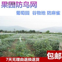 Special Orchard anti-bee bird net grape balcony fruit tree anti-bird net fish pond farming Sky Net nylon net protective net