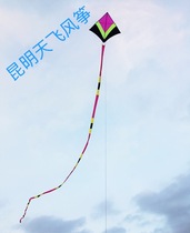 Tian Fei high-end Sky chasing wind King anti-wind King adult kite design unique height 1 5 Wide 1 8 floating tail 25 meters