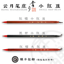 Yunyue Pen Zhuang small red bean Small Kai brush Chinese painting Watercolor illustration Beginner comprehensive pen Big red bean wolf brush