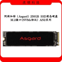 Asgat 250G 500G M 2 Interface (NVMe Protocol) Solid State Drive AN2 Series Boxed