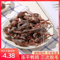 Freeze-dried quail cat pet dog snacks Fattening gills snacks Freeze-dried food raw bone and meat small quail cat snacks