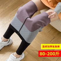 Big Code Fat Mm Shark Leather Beating Bottom Pants Woman Outside Wearing Winter Warm Palace Plus Suede Thickening Without Marks Tight Skinny Legs Barbie Pants