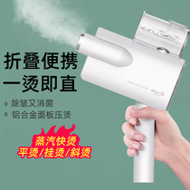 Delma handheld hanging ironing machine household steam iron portable small ironing machine clothes millet artifact
