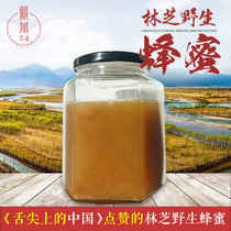 A kilogram of Chinese plateau tree hole honey on the tip of the tongue of Nyingchi Tibet and Bomi wild Tibetan honey