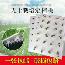Water planting floating bed floating plate hydroponic vegetable planting board soilless cultivation equipment water cultivation vegetable planting with holes