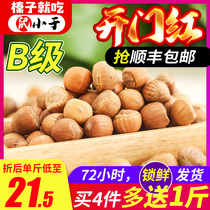 Rat less than new 2021 Northeast specialty Tieling fresh wild cooked hazelnut pregnant woman nut dried fruit 500g