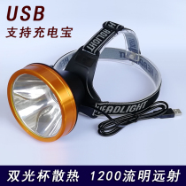 USB support high power XM-L2 headlight 1200 lumens head long shot single headlight fishing lamp