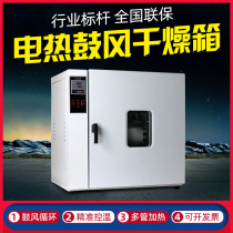 Electric constant temperature blast drying box Laboratory industrial drying box Traditional Chinese medicine dryer Small oven Constant temperature oven