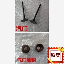 Suitable for Suzuki Fuxing star Neptune HS125T-2-3 valve valve oil seal scooter intake and exhaust valve