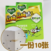 Green leaf fly sticky board sticky mosquito paper strong glue attractant household fly cockroach Ant mosquito sticky artifact