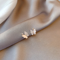 Small butterfly earrings shell exquisite simple zircon temperament gentle earrings earrings mosquito coil ear clip no pierced ears female