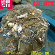 Three-Layer crab net fish net Marine swimming crab fishing net fat crab freshwater crab subnet crab aggravating galvanized fish tail fall