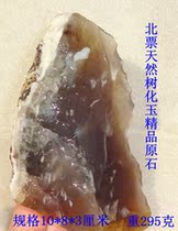 Liaoning Northwest ticket natural stone ornamental stone fossil tree fossil silicified wood tree tree fossil silicified tree Jade boutique rough stone 1659