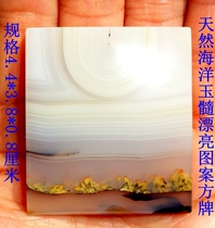 Natural strange stone ornamental stone fossil tree fossil tree fossil tree fossil Jade natural marine chalcedony beautiful pattern square 1983