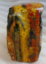 Natural strange stone ornamental stone swallow stone silicified wood tree tree fossil color ribbon bark beautiful ornaments 2536