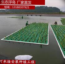 Planting technology planting water spinach planting tray farming landscape sewage greening project artificial ecological floating island