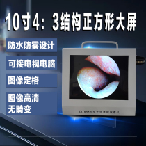 jn1688 nasal electronic imaging tester high-definition waterproof Otolaryngology nasal endoscope observation detector