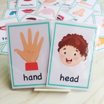 English card Waterproof Flash Card body body part card 30 kindergarten childrens word card cognitive Enlightenment map