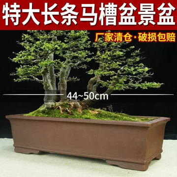 紫砂马槽长方盆-紫砂马槽长方盆促销价格、紫砂马槽长方盆品牌- 淘宝