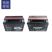 Suitable for Huanglong BJ600 BN302 Jinpeng 502 kindergarten teacher 500 small Huanglong 300 Battery Battery