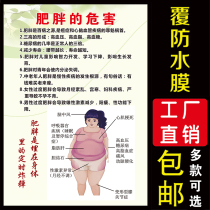 The harm of obesity poster poster poster poster poster wall chart obesity can cause disease advertising panel beauty Pictures