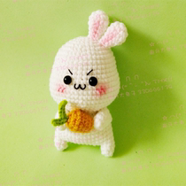 Handmade DIY crochet wool knitting doll 403 Luobei rabbit doll illustrated cute doll non-video tutorial recommendation