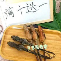 Changbai Mountain forest frog dry whole big dry forest frog oil snow clam toad dry toad oil Snow clam oil 15 grams 10 pieces