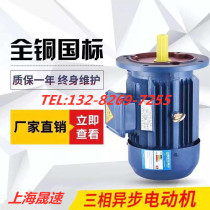 Price difference to make up Shanghai Sheng speed Motor three-phase asynchronous motor Motor Motor 380V