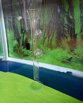 Ultra-white glass crystal shrimp ornamental shrimp benthic fish feeding bowl feeder shrimp basin feeding tube