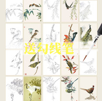 Meticulous painting draft can be directly colored beginner flowers and birds zero basic Chinese painting familiar swallow swallow parrot magpie