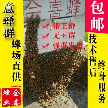 楽天市場】日本蜜蜂 巣箱 ニホンミツバチ 日本みつばち 重箱式巣箱 2段 送料無料 焼き有 : いいネット通販