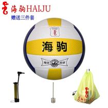 Haiju Needle Pattern No. 5 1110A Suzhou Middle School Students Teaching Entrance Examination Soft Volleyball Gift Set of Three