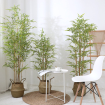 Real pole simulation bamboo potted fake plant indoor and outdoor decoration new Chinese meaning home living room floor ornaments