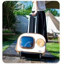 Pet Bubble luggage case Cat Canvas Backpack Dog Out Large Capacity Warm Breathable Airbox