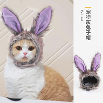 2021 new gray rabbit pet cat purple star wearing Dew rabbit cat headgear dog headgear dress funny