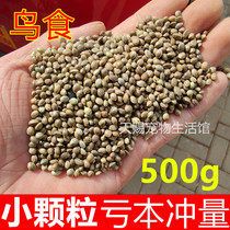 New small particles hemp seeds with shell hemp kernels Peony Cockatiel Xuan Feng special bird food Bird food bird feed 1 catty