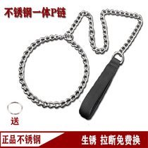 Dog P word chain stainless steel in large canine Labrador gold wool training dog integrated explosion-resistant traction rope Item Circle