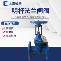 Z41X Open rod elastic seat seal soft seal flange gate valve Fire water valve DN80 100 125 150