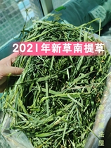  Spot 2021 Nantian grass Timothy grass whole leaf Nantian grass rabbit plus box weight 2 kg