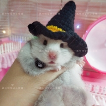 (Wafer House) pet hat witch hat Halloween hat hamster hat Golden Bear Magic Hat