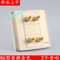 Champagne 86 type two speaker socket panel Multimedia 2 surround sound panel Wall switch panel