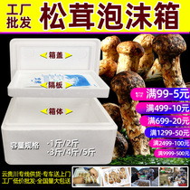 Pine Furry Case Foam Box Sheep Belly fungus Incubator Fast Strawberry Delivery Special Preservation Box Wholesale Packaging Country Hens Foam