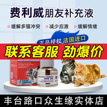 Felwey Friend Complementary Liquid FEILIWAY Multi-cat-type prevention of cat conflict appeasing emotional fights scratching 48ml
