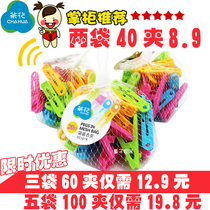 Camellia 40 clothes clips clothes clamps socks drying clips small windproof clothespins plastic clips