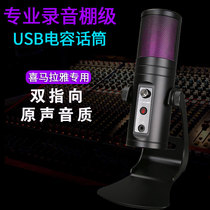 RGB dual-pointing mobile phone computer live recording USB condenser microphone conference stage singing dubbing microphone