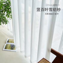 Iris curtains transparent to people Chiffon white gauze living room balcony light and shadow gauze Net red yarn vertical blinds